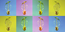 30943531-colorful-lightbulbs-in-rows-as-design-object-for-web.jpg