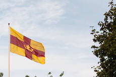 27464500-svenska-kyrkans-flagga_0_0.jpeg