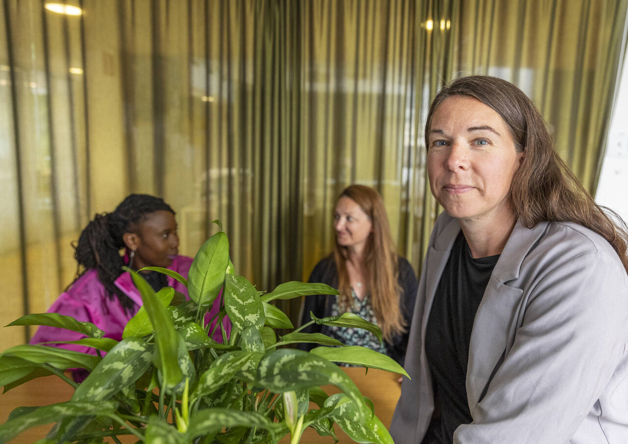 tre personer sitter vid ett bord i kontorsmiljö.